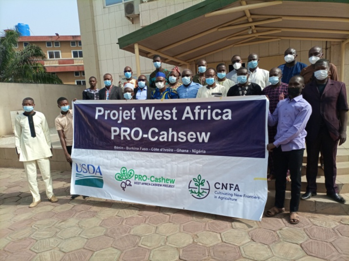 ADAPTATION DES MODULES ET SUPPORTS DE FORMATION DES ACTEURS DE LA FILIÈRE ANACARDE DU BÉNIN : Le projet Pro-Cashew actualise les ‘’Boîtes À Images’’ pour répondre aux réalités