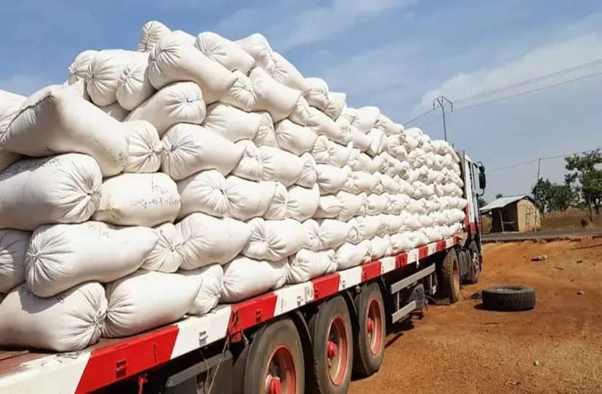 235 MILLIONS RÉCLAMÉS POUR EXPORTATION FRAUDULEUSE DE SOJA : La douane béninoise veut réveiller la colère des producteurs   . La saison prochaine très menacée 