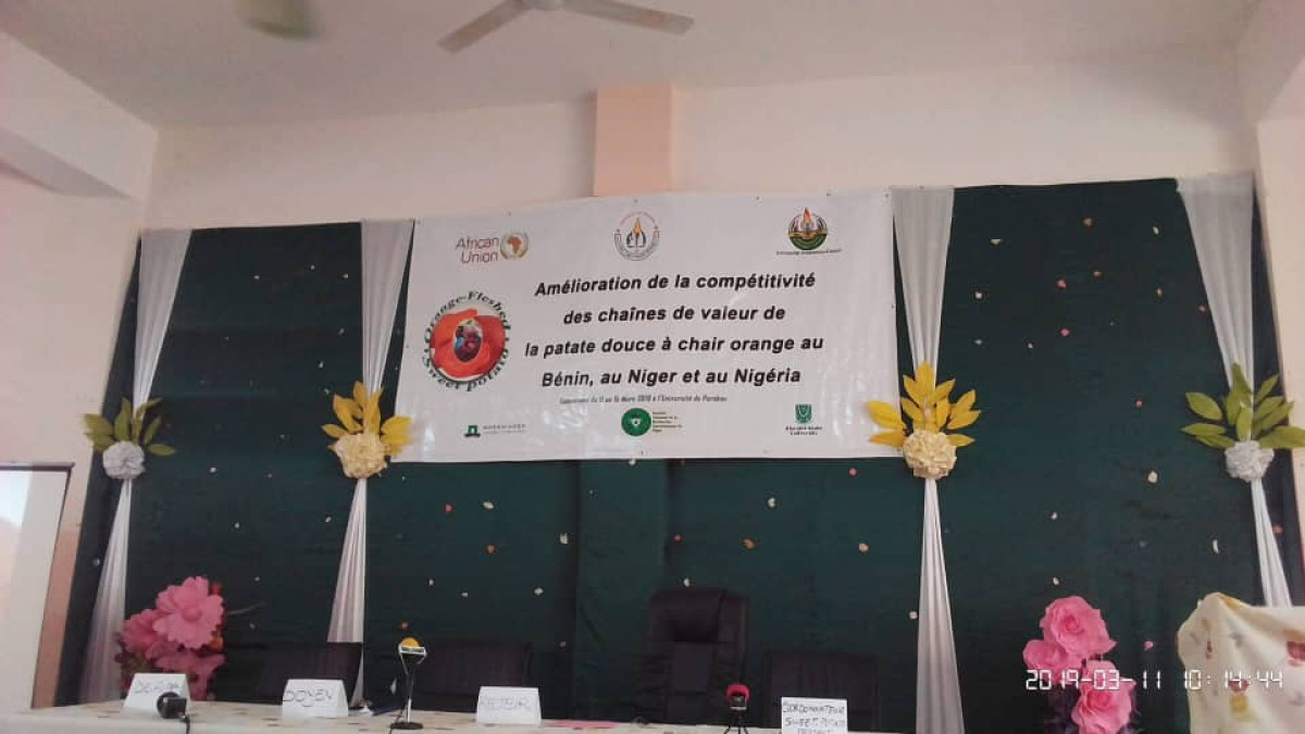 SÉCURITÉ ALIMENTAIRE ET NUTRITIONNELLE AU BÉNIN : Le projet Sweet Potato pour changer la donne