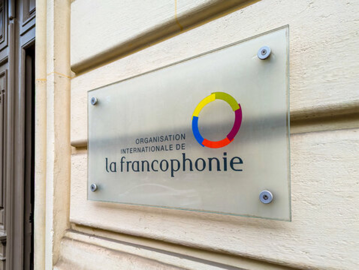 Retrait des pays de l&rsquo;Aes de l&rsquo;Oif: l&rsquo;organisation désormais réduite à 90 membres 