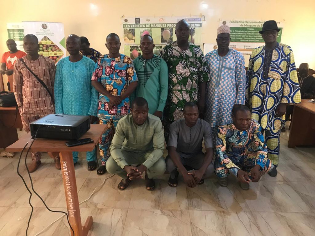 DÉVELOPPEMENT DE LA FILIÈRE MANGUE AU BÉNIN : Les membres de la Fenaprom s&rsquo;engagent