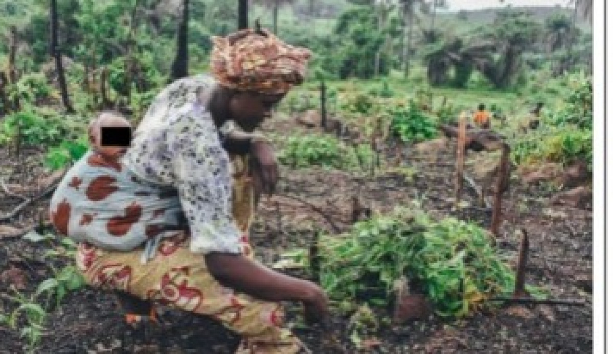 JOURNÉE INTERNATIONALE DE LA FEMME AU BÉNIN : La femme rurale, l’autre victime de l’inégalité