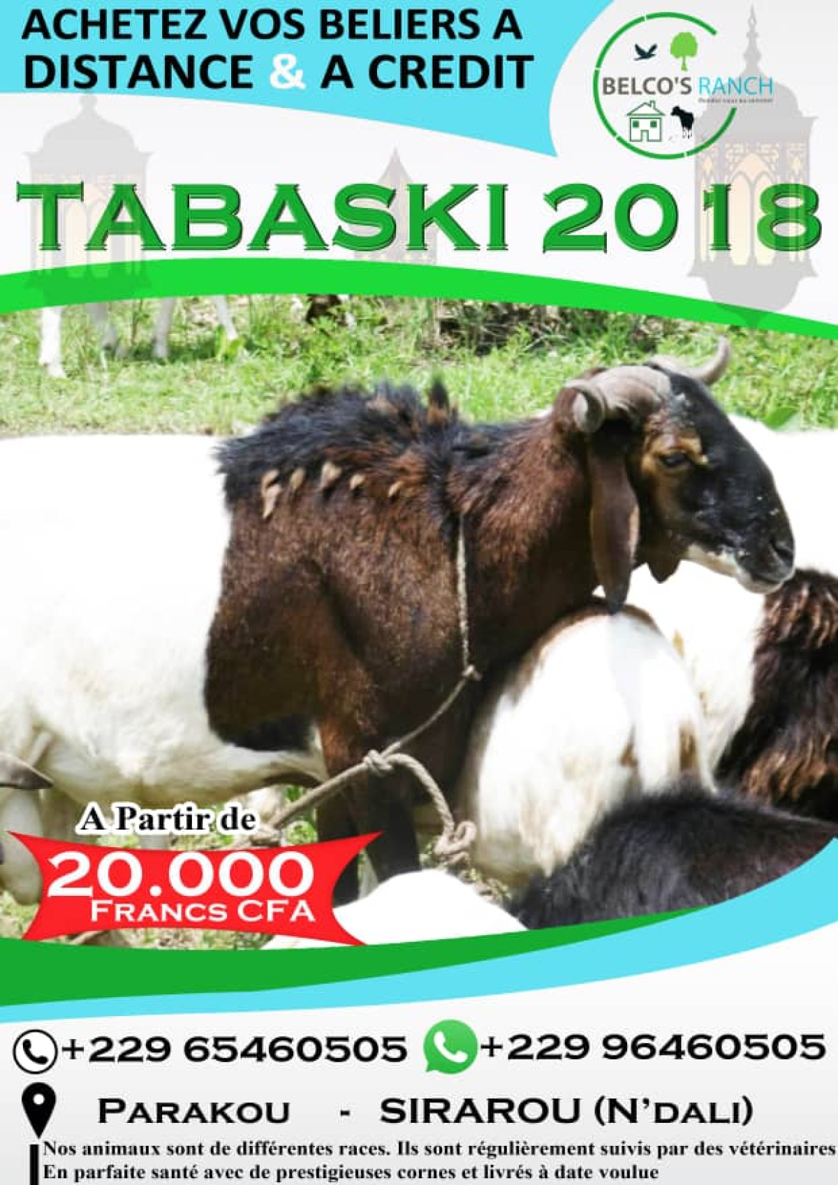 TABASKI 2018 : Belco&rsquo;s Ranch vous propose des moutons sains à moindre coût