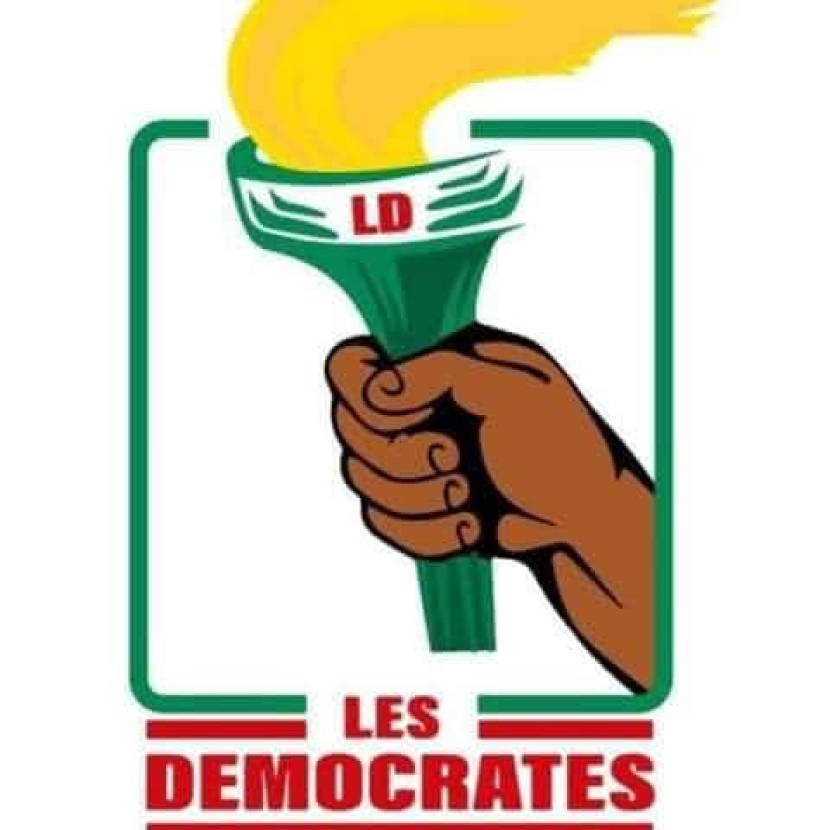 Élections professionnelles 2026 au Bénin : La liste des personnes ayant déposé leur dossier chez Les Démocrates