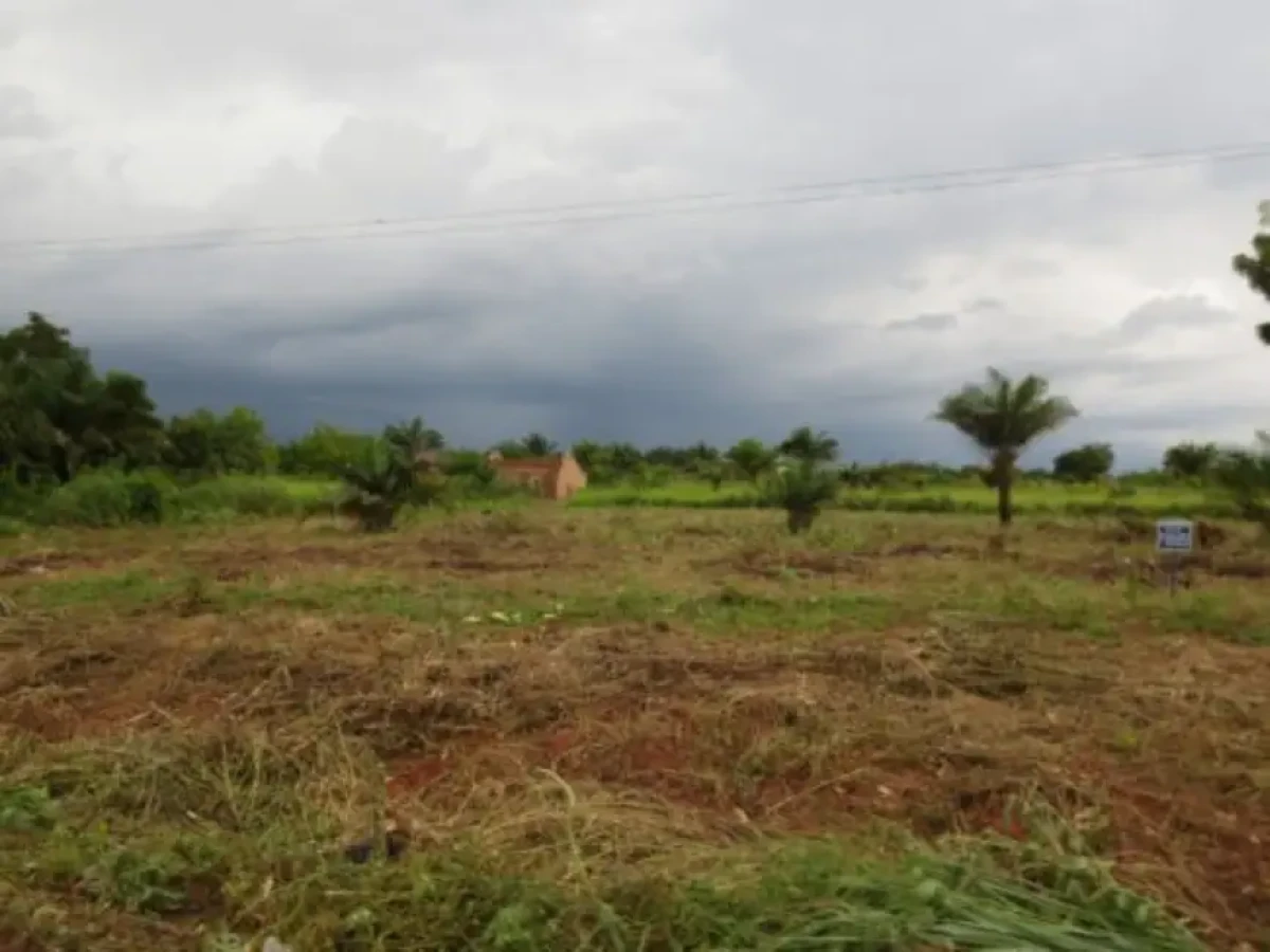 Bénin/acquisition de terre en milieu rural: il faut désormais justifier ses sources de revenus