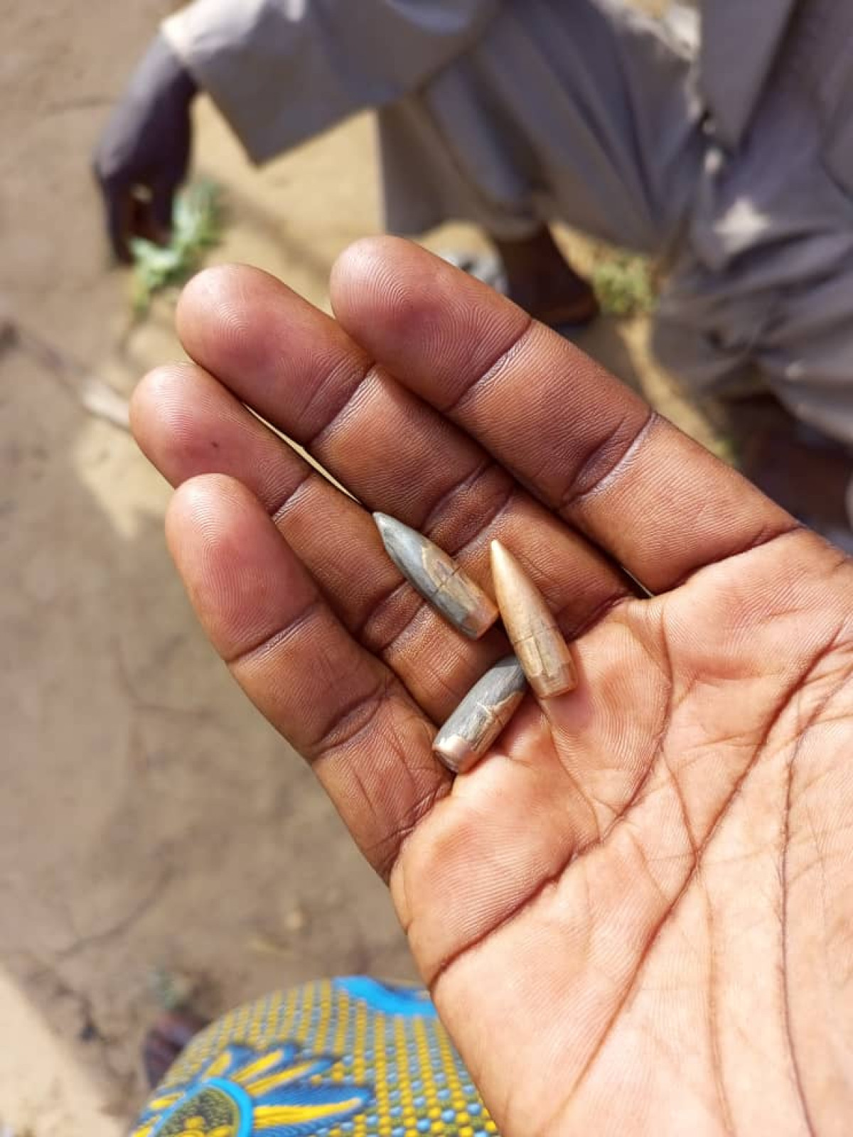 BÉNIN/À KARIMAMA : L’armée déjoue une attaque terroriste . Des balles perdues tuent un bœuf