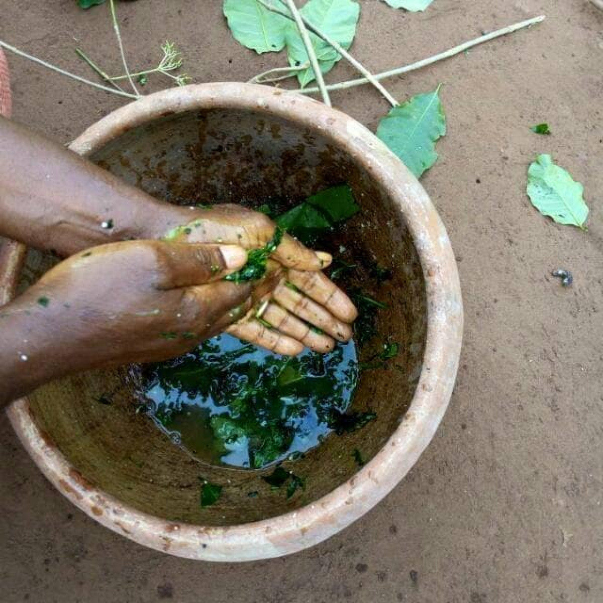 CHRONIQUE DES US ET COUTUMES : La médecine africaine à l’heure des illusions