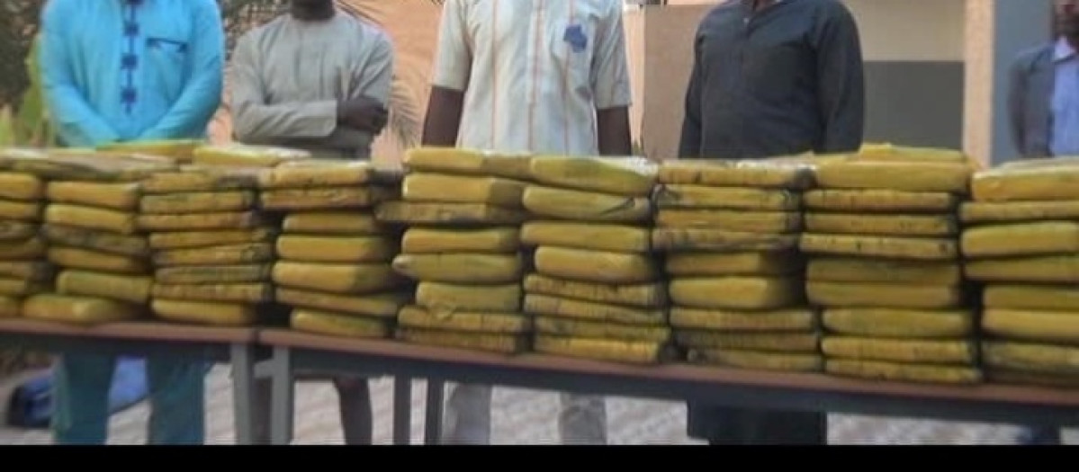 NIGER : 278,01 Kg de cannabis saisis à Niamey