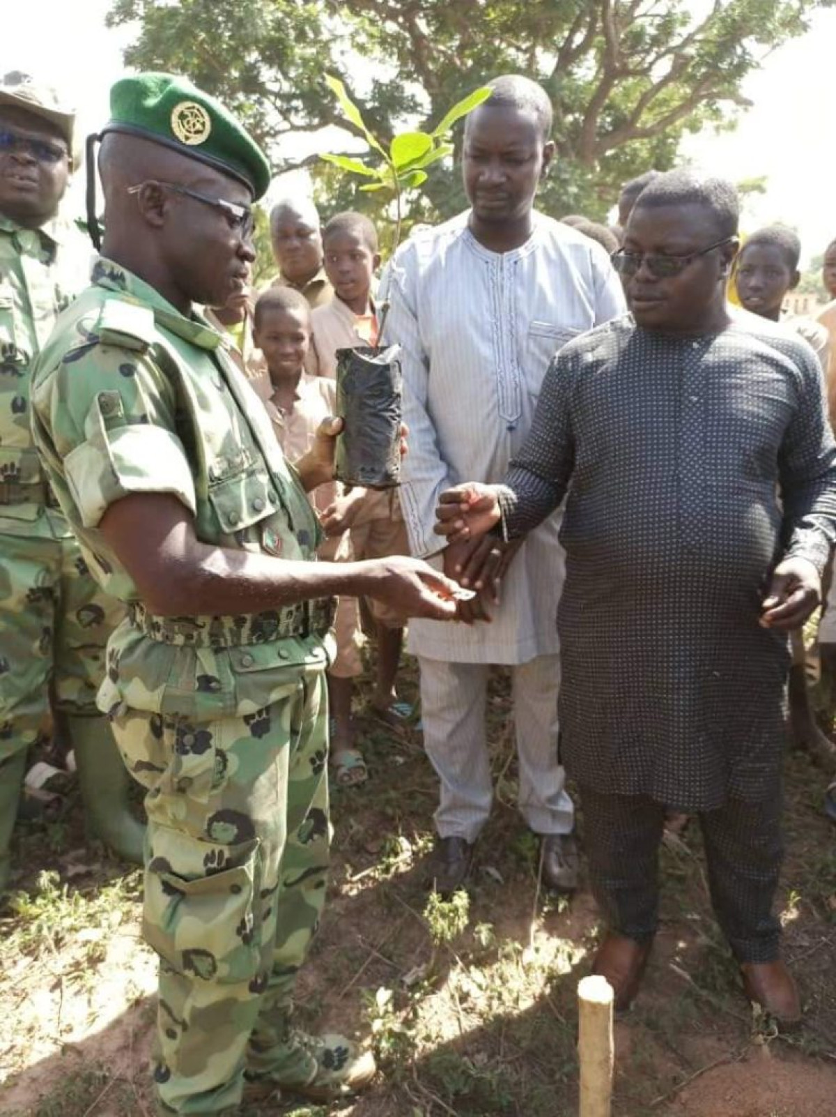 JOURNÉE NATIONALE DE L&rsquo;ARBRE À NIKKI : Le Ceg Sakabansi a reçu 500 plants