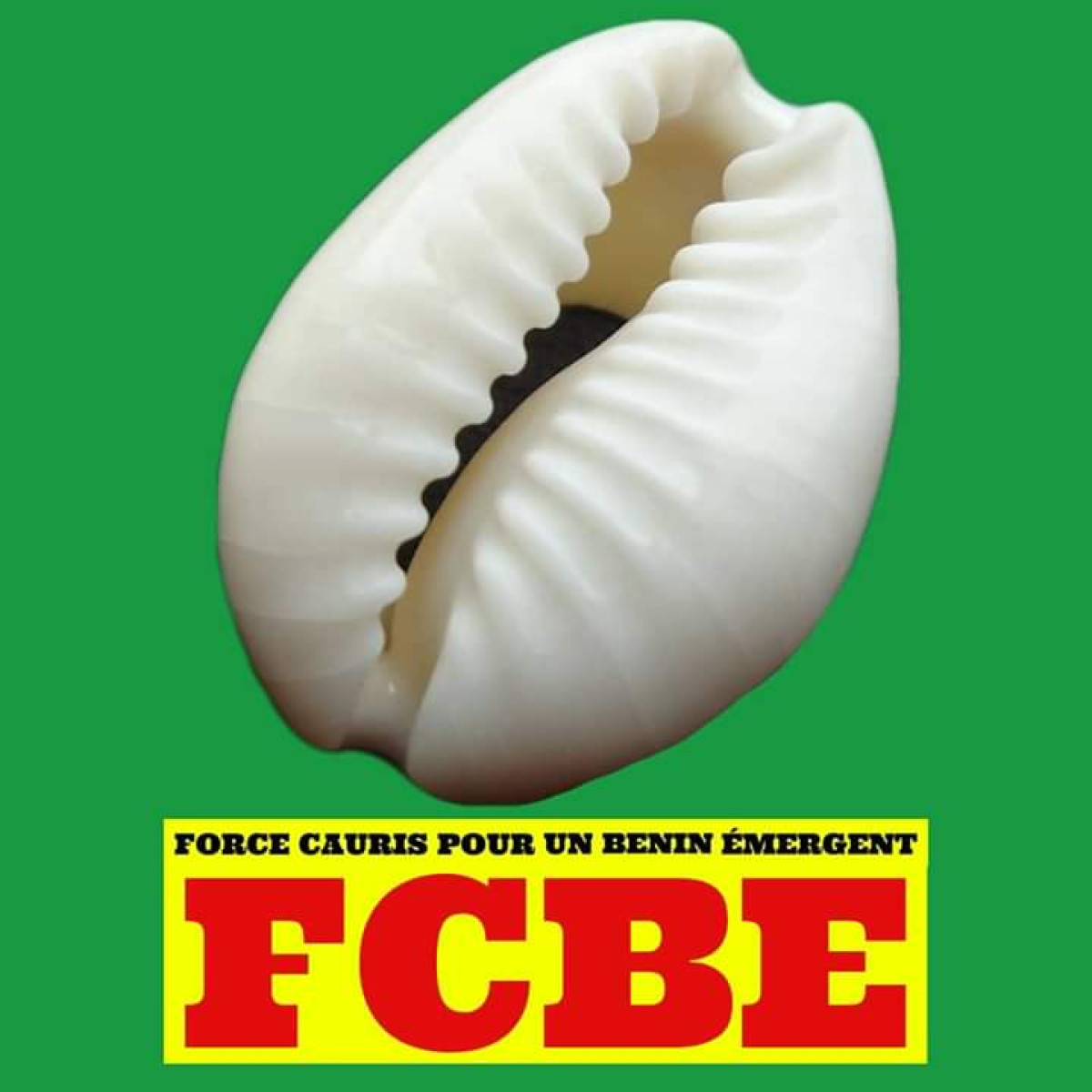 LÉGISLATIVES DE 2023 :  Mot du Secrétaire Exécutif National du parti Fcbe