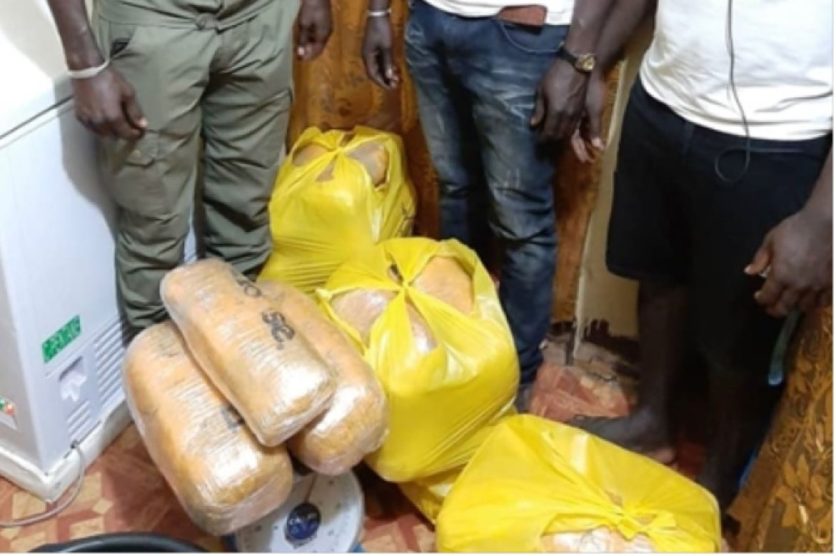 BÉNIN : La drogue circule comme ce n&rsquo;est pas permis