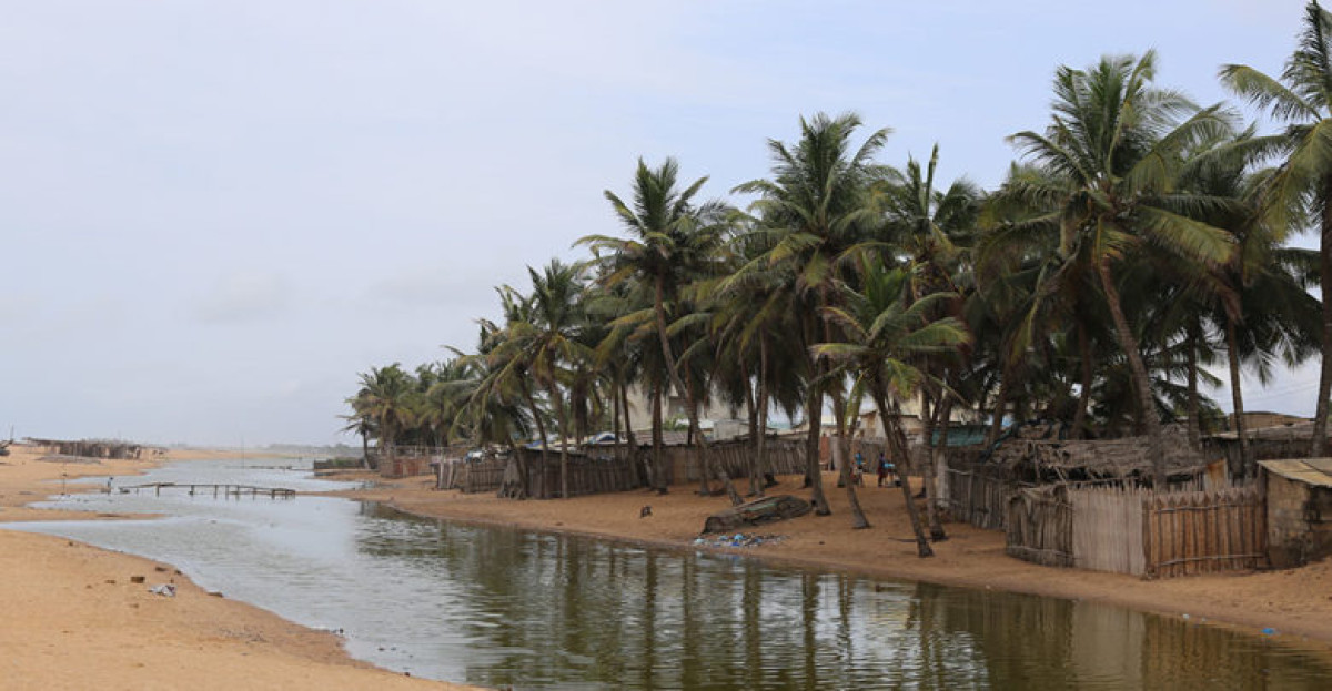 BENIN/REBOISEMENT DU SEGMENT DE LA PLAGE : Les occupants du long de la bande côtière invités à libérer l&rsquo;espace
