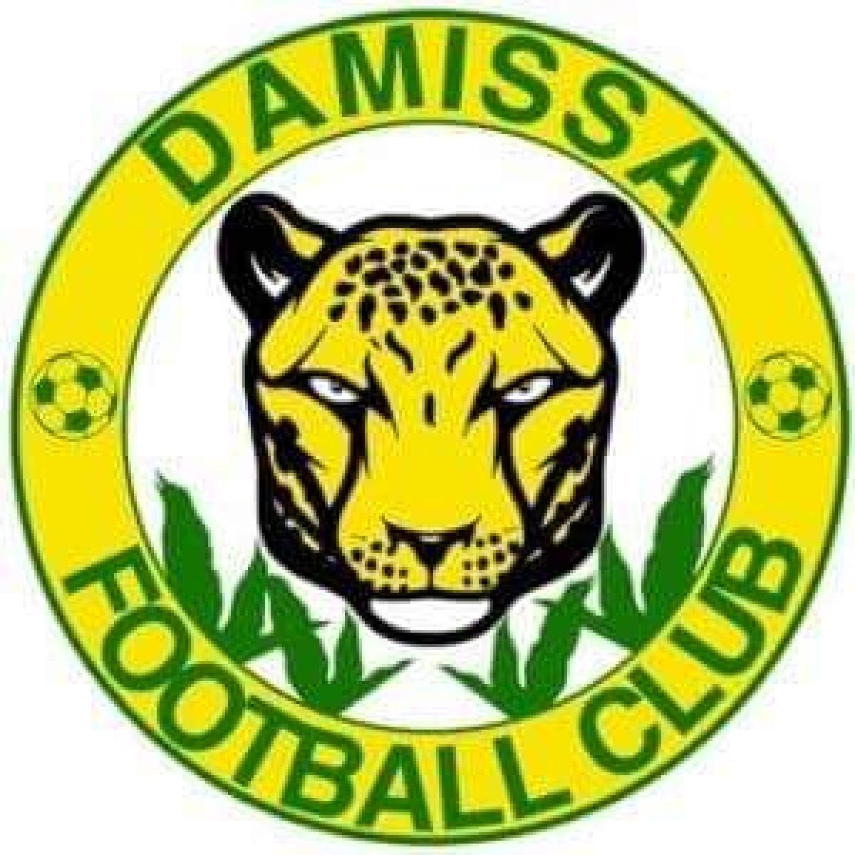 9E JOURNÉE DE LA SUPER LIGUE PRO :  Damissa – Béké, le derby des frères consanguins