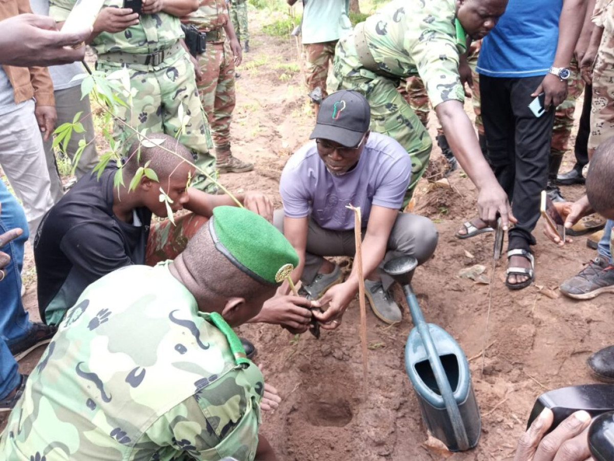 40È ÉDITION DE LA JOURNÉE NATIONALE DE L&rsquo;ARBRE DANS LE BORGOU :  Plus de 8 000 plants mis en terre à Parakou