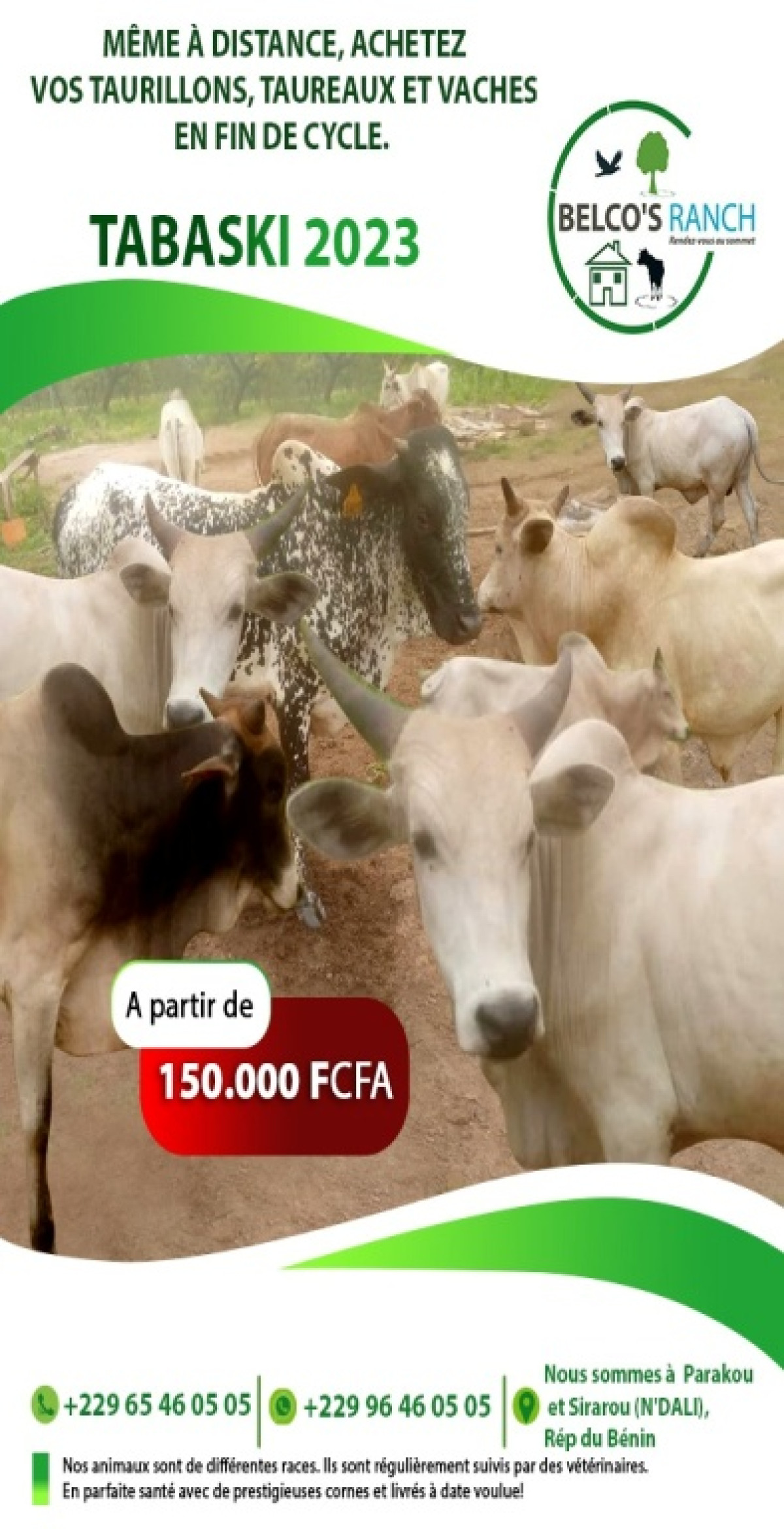 TABASKI 2023/AVEC BELCO&rsquo;S RANCH :  Achetez des animaux sains à moindre coût