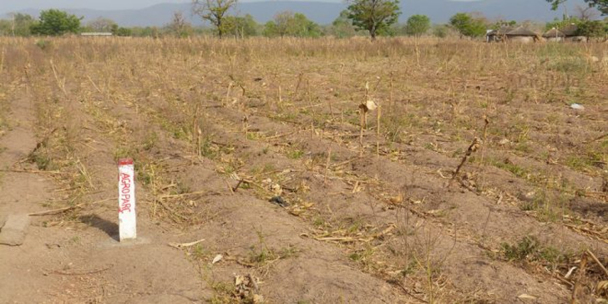 BÉNIN :  635 opérations de lotissement annulées