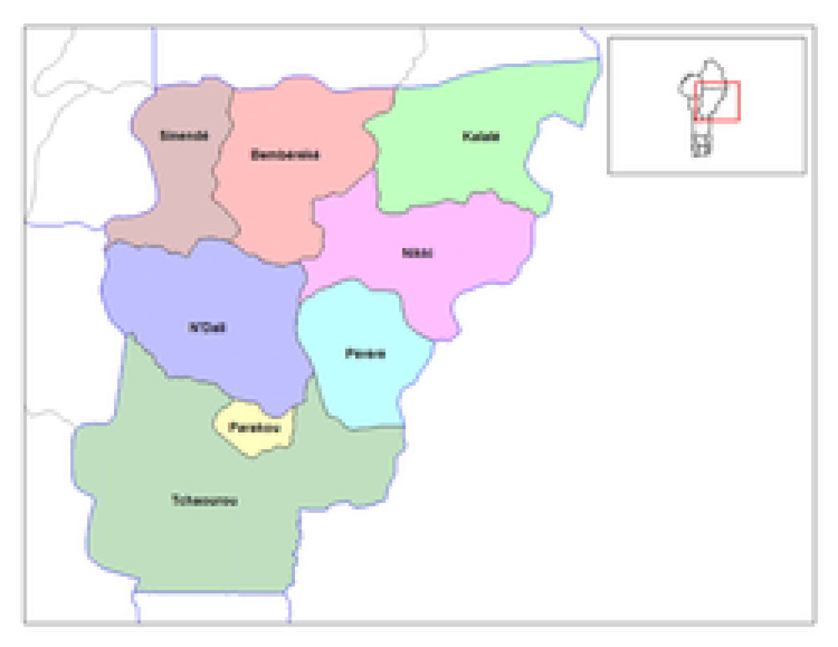 COMMUNALES ET MUNICIPALES DU 17 MAI: Voici la répartition des sièges dans le Borgou