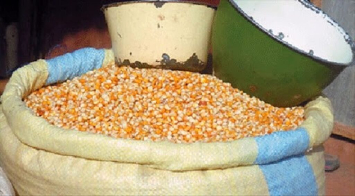 Bénin: l’exportation des produits vivriers à nouveau autorisée