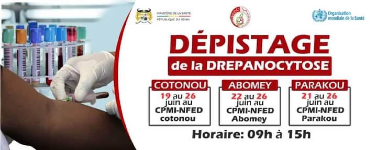 JOURNEE MONDIALE DE LUTTE CONTRE LA DREPANOCYTOSE :Hounkpatin recommande le test d&rsquo;électrophorèse avant le mariage . Une vaste campagne de sensibilisation et de dépistage lancée