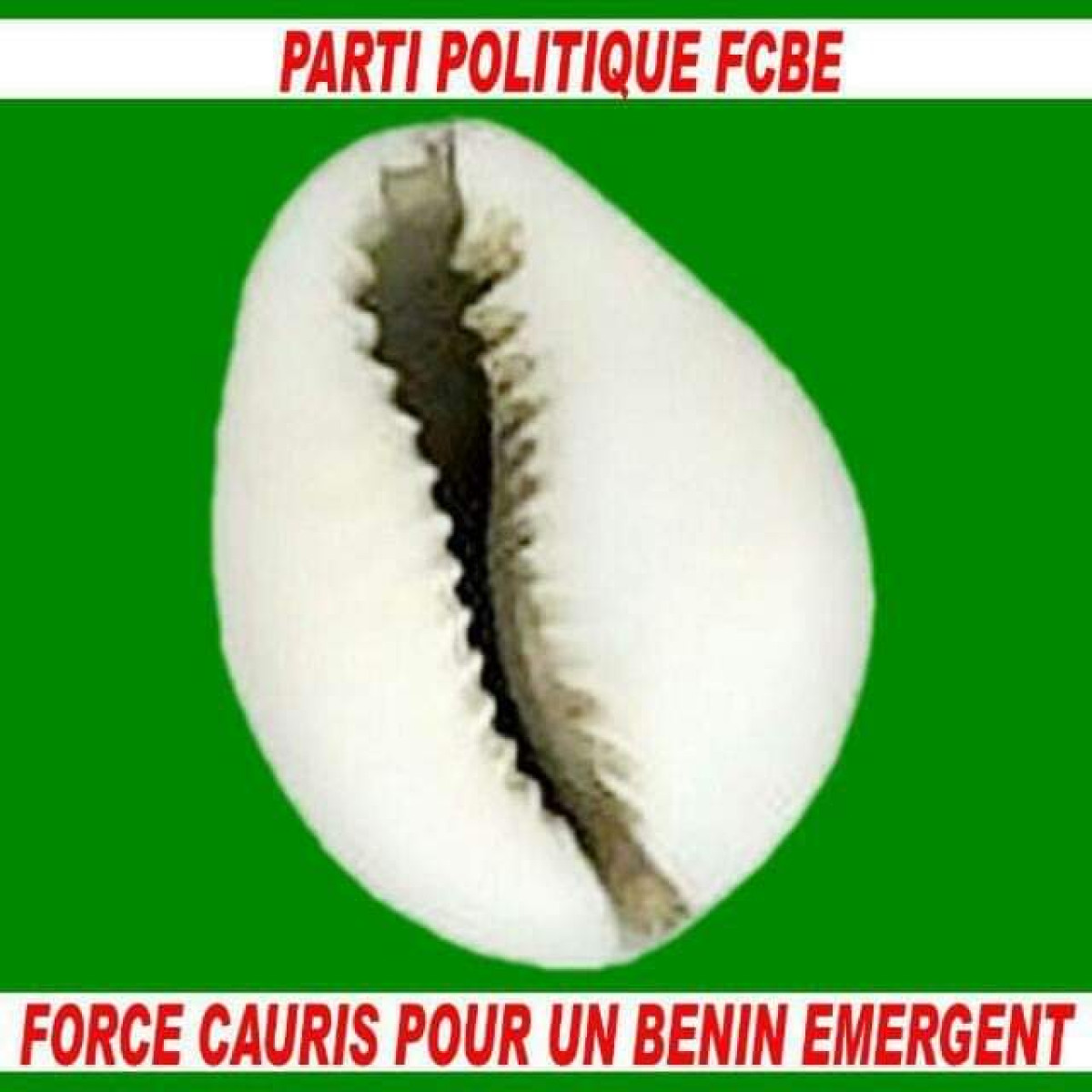 ÉDITO : Ça saigne chez les cauris !