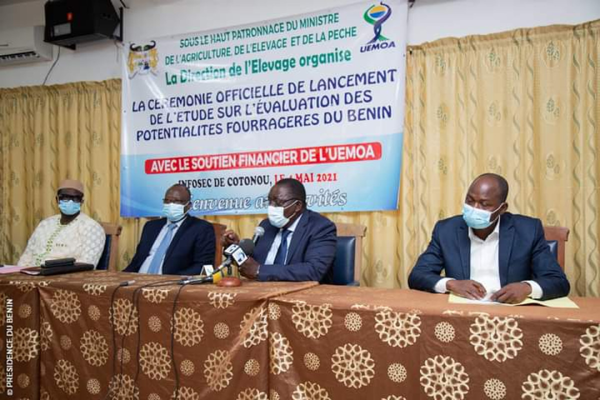BENIN/DEVELOPPEMENT DE L&rsquo;ELEVAGE DES RUMINANTS : Le ministre Dossouhoui lance l&rsquo;étude sur l&rsquo;évaluation des potentialités fourragères