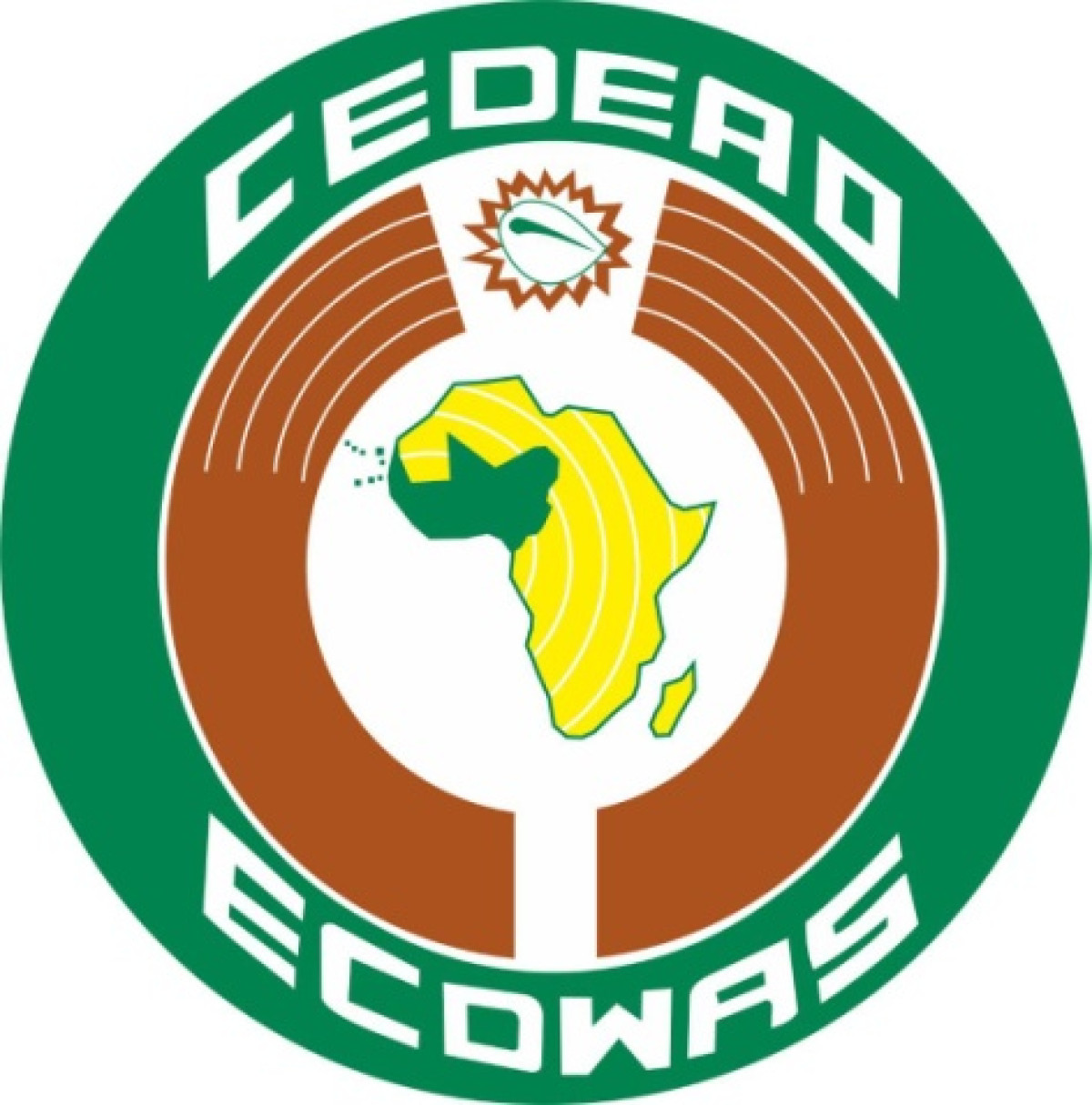 COUP D’ETAT EN GUINEE : La Cedeao suspend le pays de ses instances et exige la libération d’Alpha Condé
