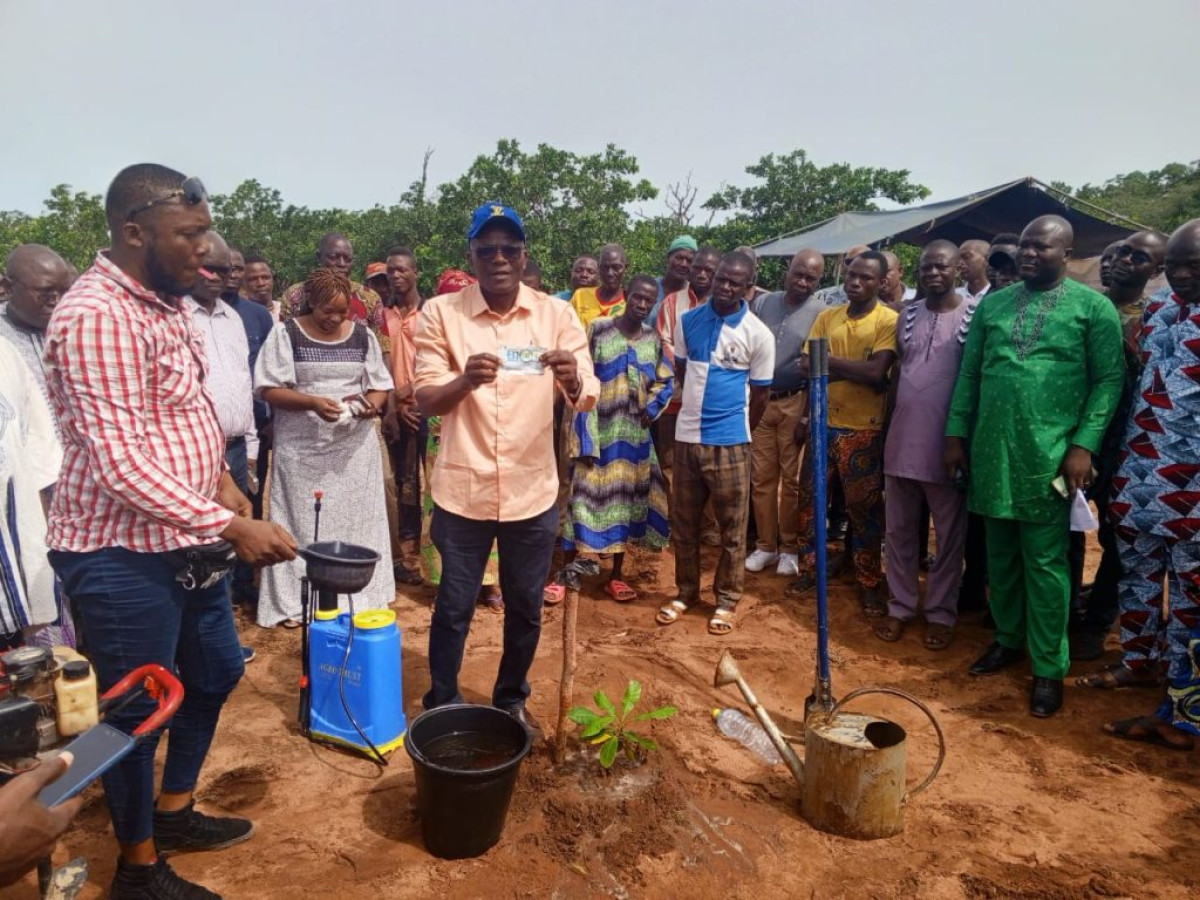 LANCEMENT DE LA CAMPAGNE DE PLANTATION DES PLANTS PERFORMANTS D&rsquo;ANACARDIERS À NATITINGOU : TechnoServe dans une dynamique de booster la production de cajou