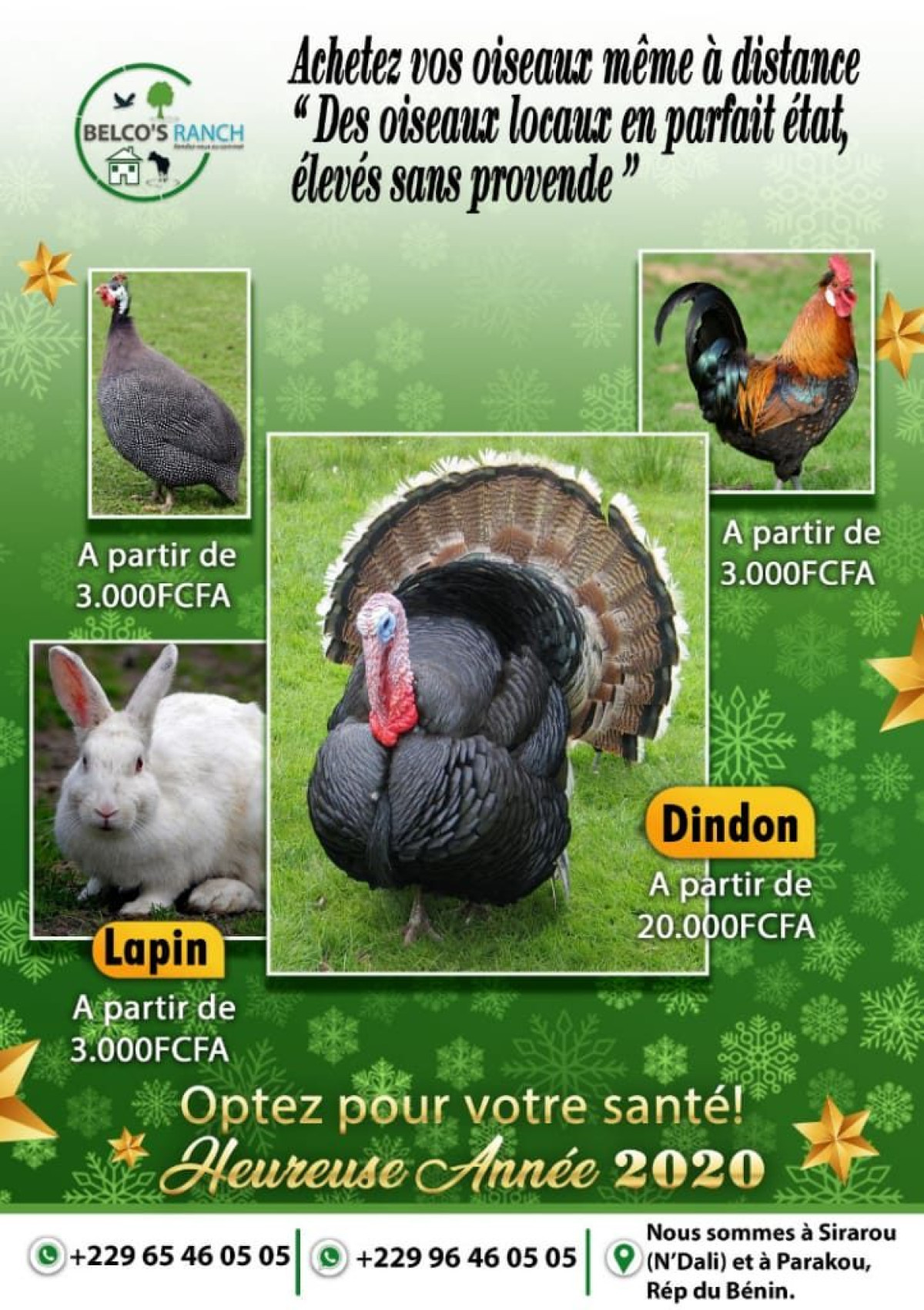 POUR UNE ALIMENTATION SAINE LORS DES FÊTES DE FIN D’ANNEE : La ferme Belco’s Ranch vous offre des volailles à moindres coûts