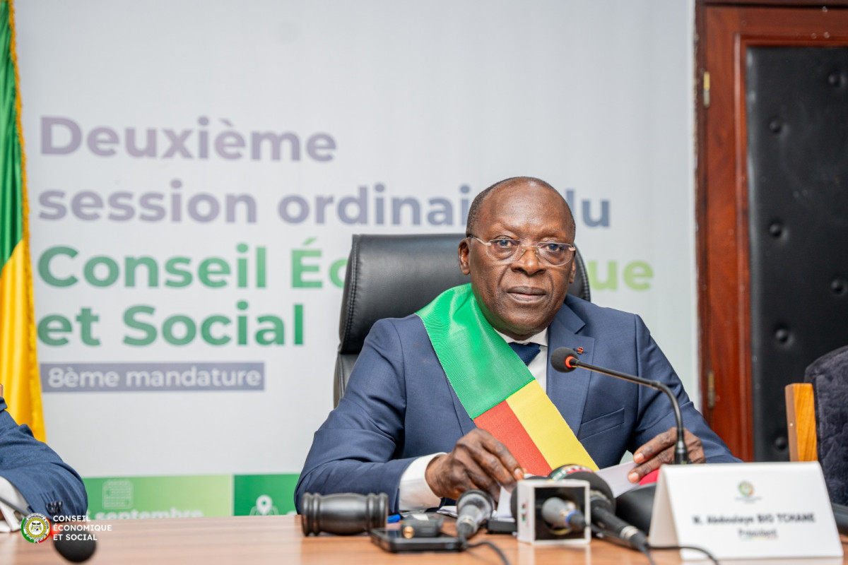 Ouverture de la 2è session ordinaire du Ces: les conseillers réfléchissent sur la Vision Alafia 2060