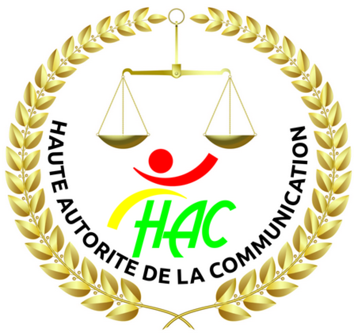 Guinée: la hac suspend un média pour cette raison