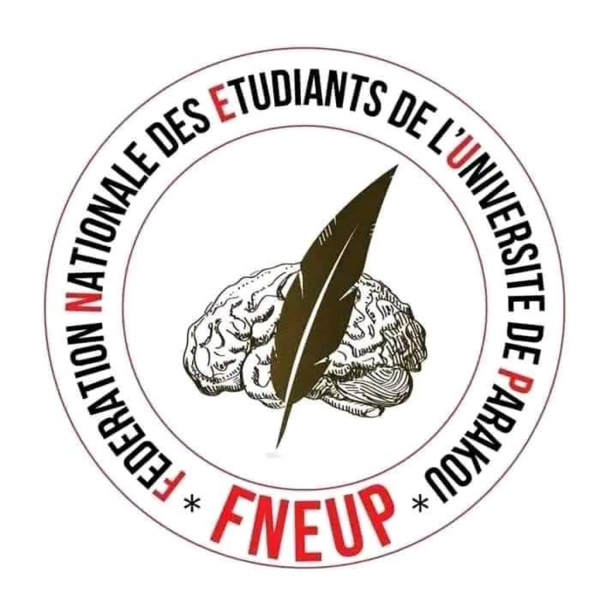 UNIVERSITÉ DE PARAKOU/ SUPPOSÉE SUSPENSION DES ÉLECTIONS À LA FNEUP : Hippolyte Gbedokpa dément et rassure les étudiants