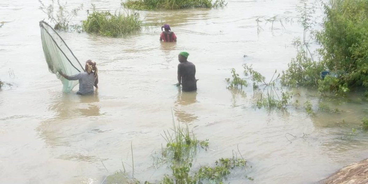PÊCHE SUR LE FLEUVE OKPARA : Une activité génératrice de revenus battant de l’aile . Production halieutique loin de satisfaire les populations