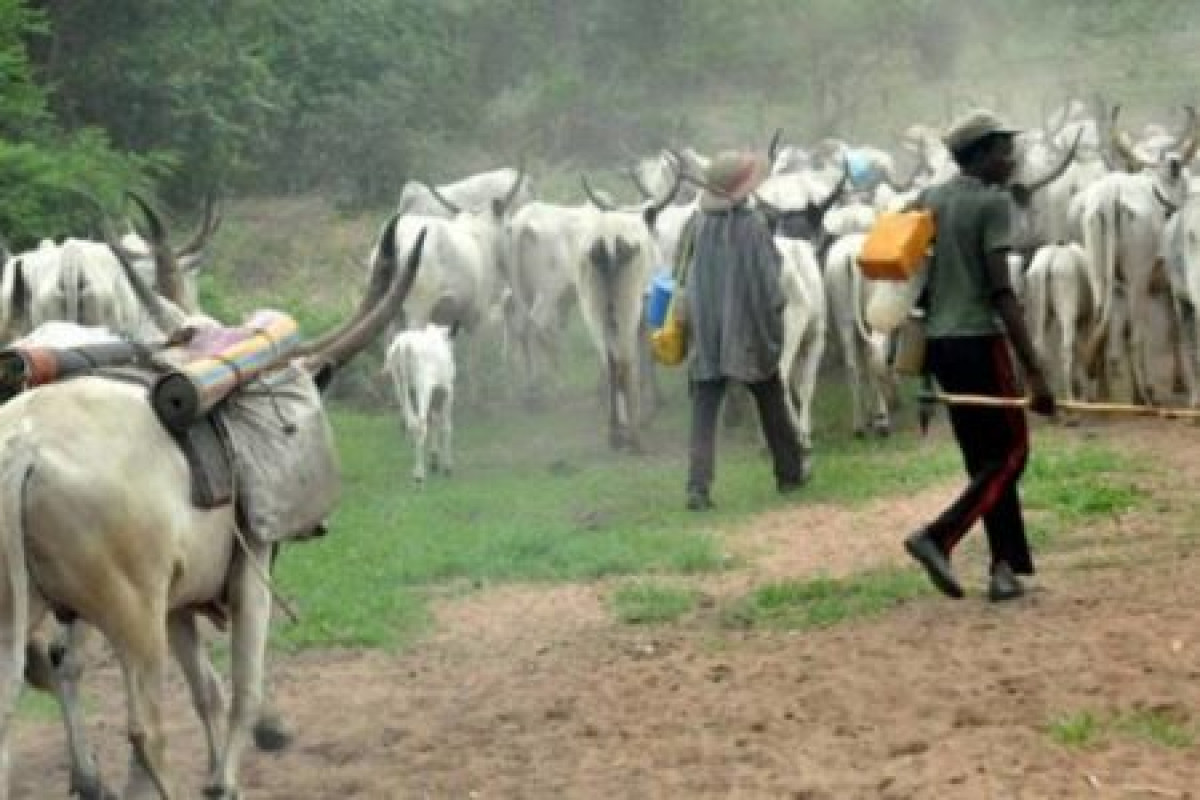 AFFRONTEMENTS ENTRE AGRICULTEURS ET ÉLEVEURS AU BÉNIN : L’éternelle guerre entre la langue et les dents . Encore quatre âmes perdues à Tchaourou