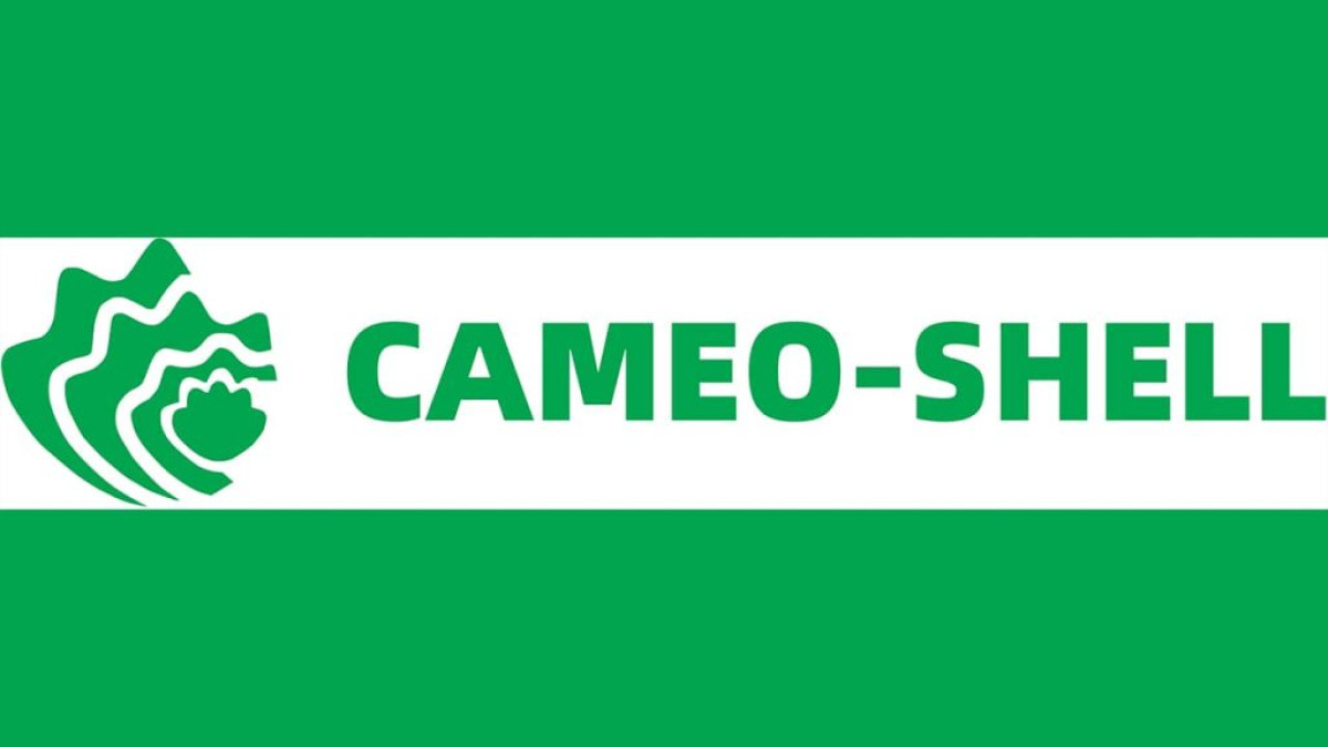 AFFAIRE CAMEO SHELL : Deux responsables de la plateforme derrière les barreaux  . Des clients dans l&rsquo;impossibilité de retirer leurs sous