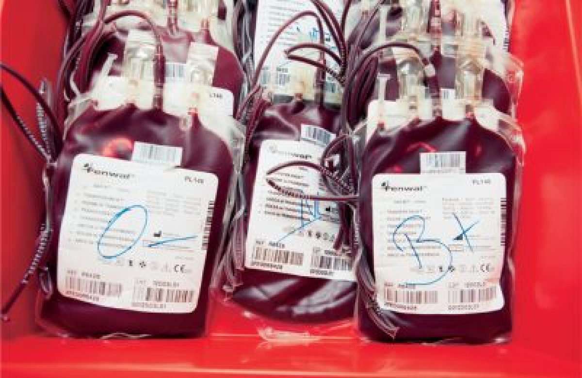 DÉGÂTS COLLATÉRAUX DES GRÈVES DANS L’ENSEIGNEMENT: Une pénurie de sang annoncée dans les hôpitaux