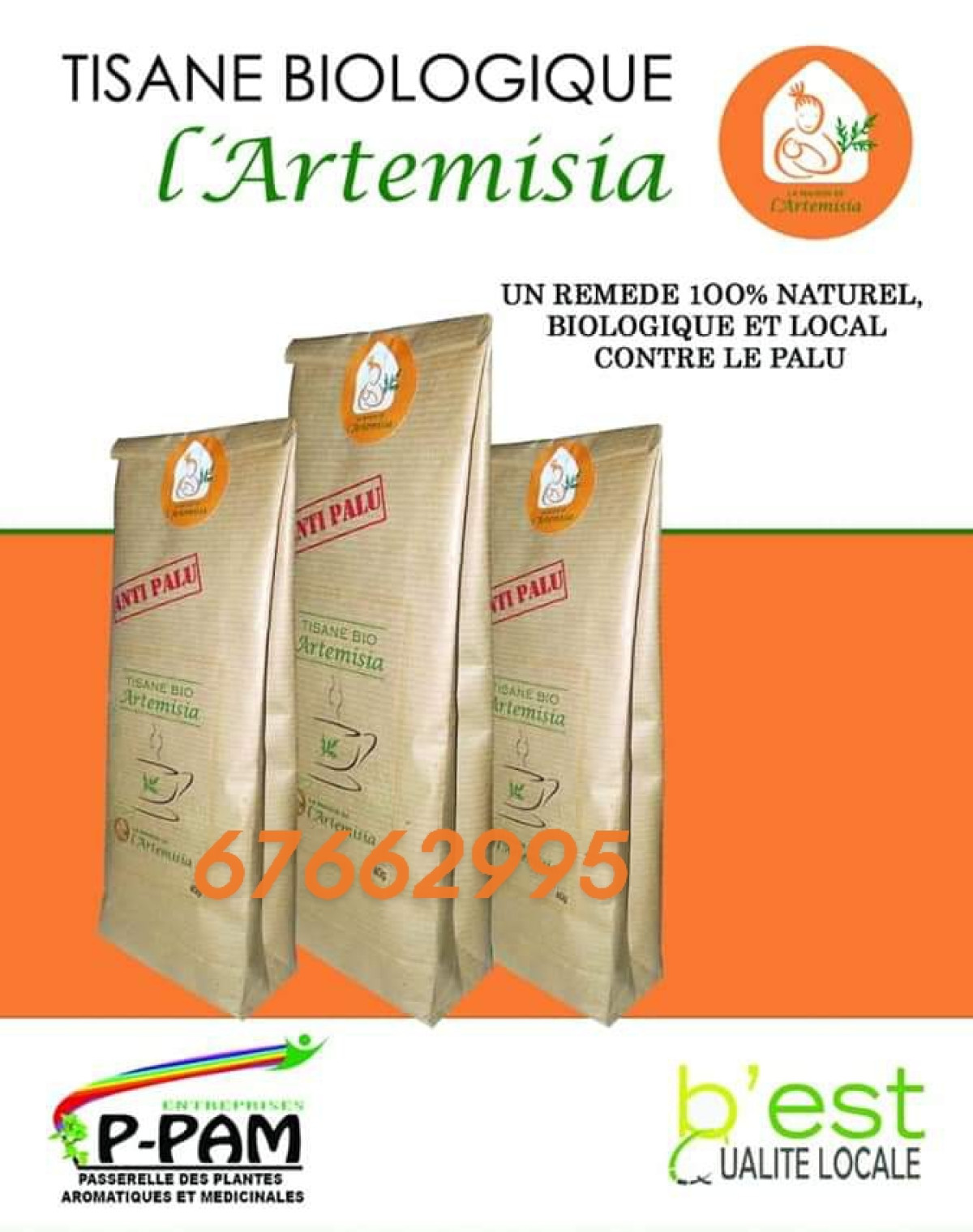 POUR UNE LUTTE EFFICACE CONTRE LE PALUDISME : Artemisia, l’ultime solution