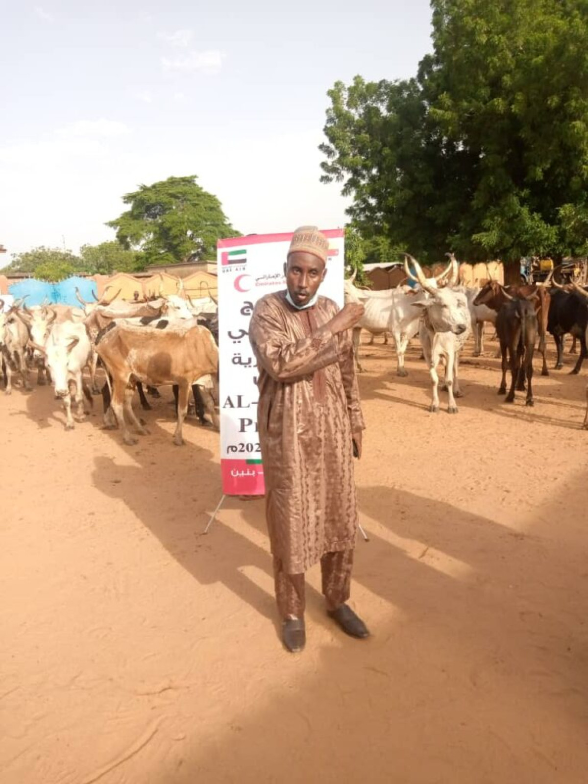 TABASKI A MALANVILLE/ GRACE AU PARTENAIRE EMIRATES RED CRESCENT : L’Ong Bienfaisance au Bénin fait don de 130 bœufs à plusieurs ménages