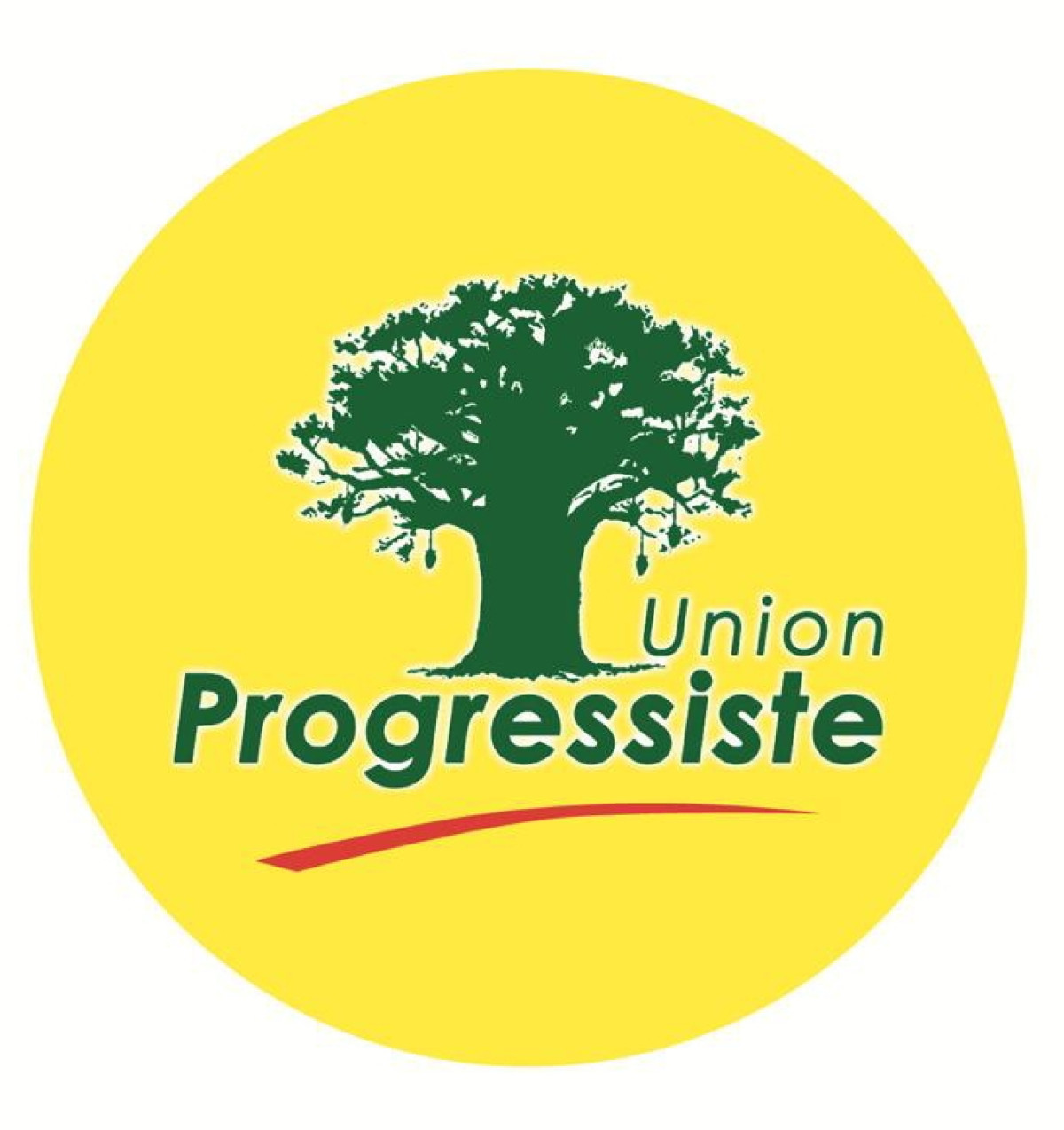 COMMUNALES 2020 : Les enseignants de Banikoara se regroupent sous le baobab illuminé