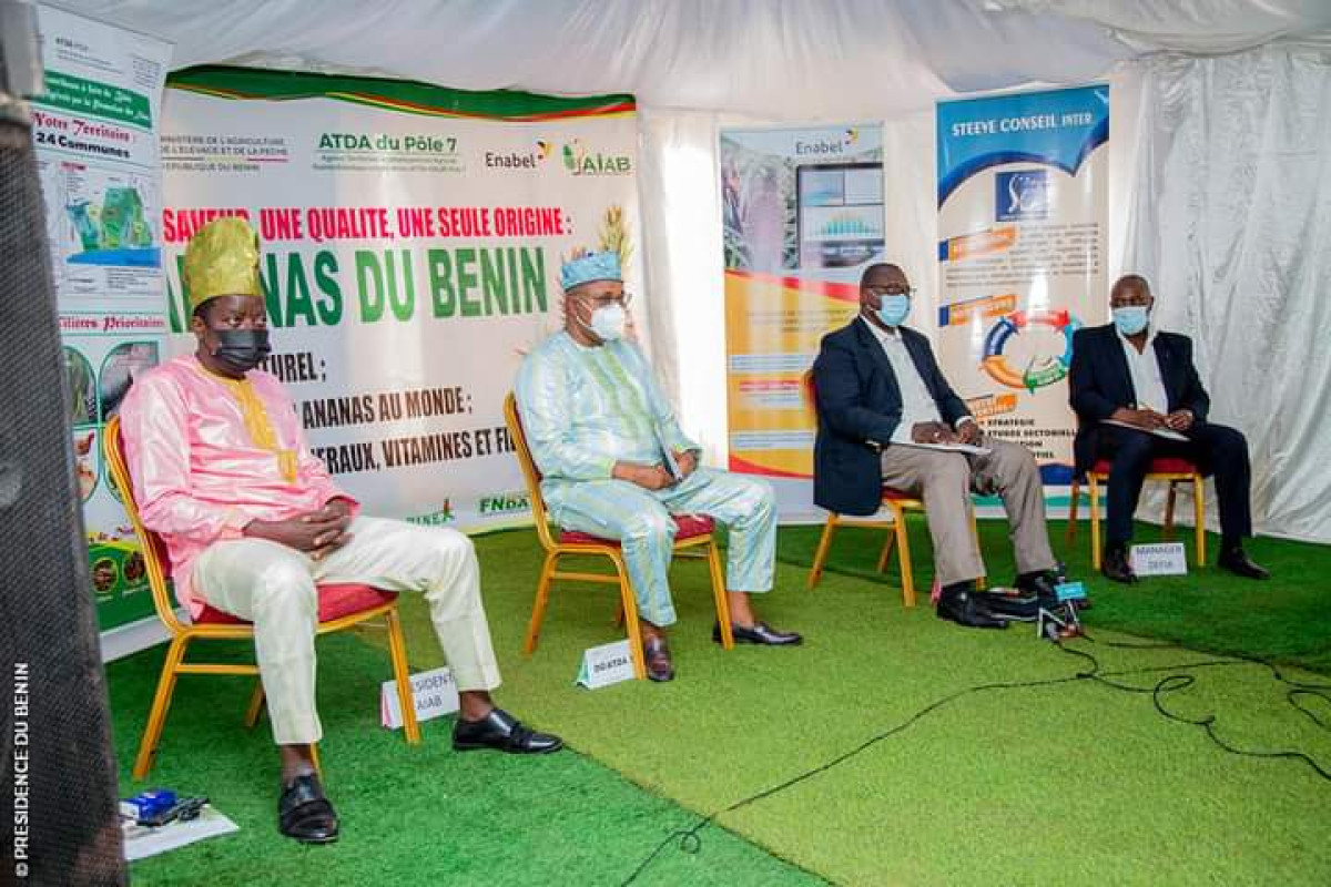 PREMIERE EDITION DES JOURNEES DE L&rsquo;ANANAS DU BENIN : Les acteurs se donnent la main pour une revalorisation de la filière