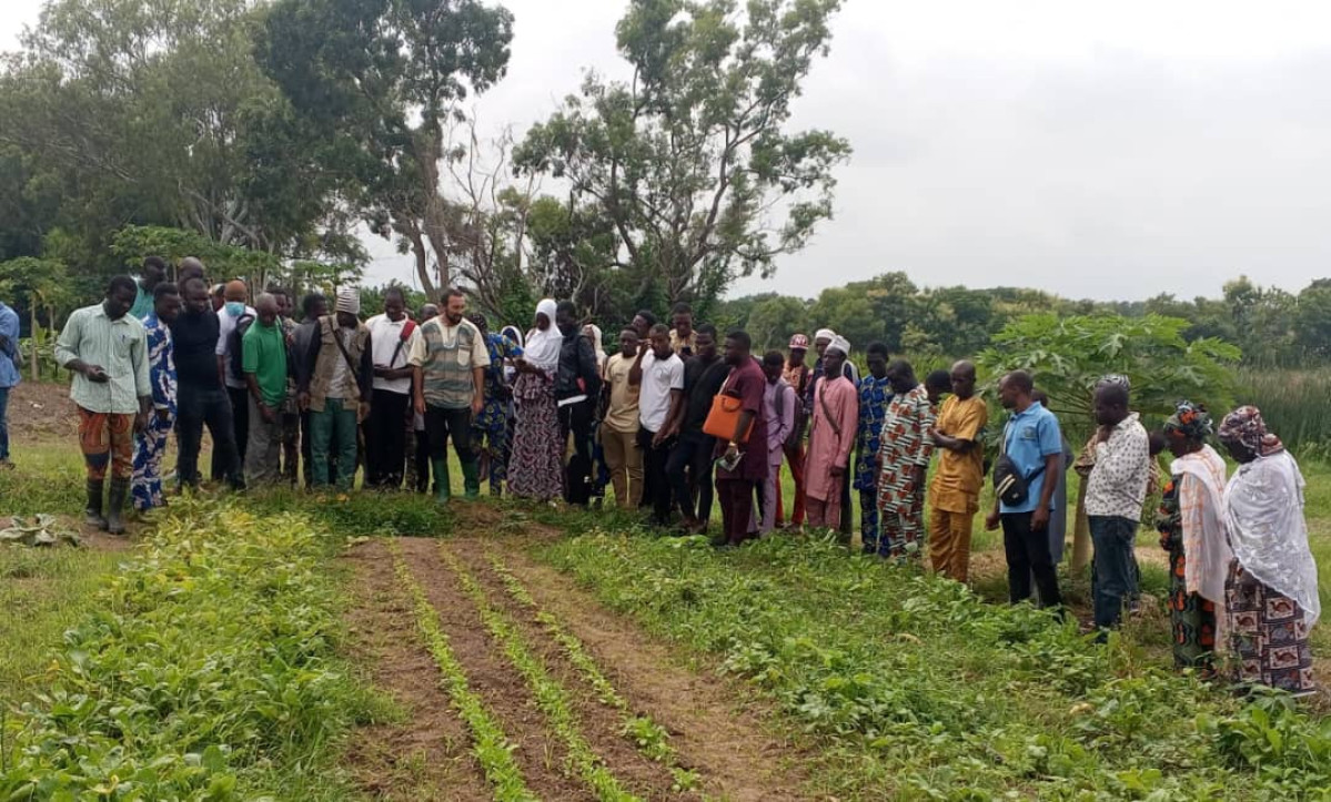 Développement des activités agro-pastorales à Parakou: le Projet Pacoso-Pev-Lct renforce les capacités des jeunes et femmes