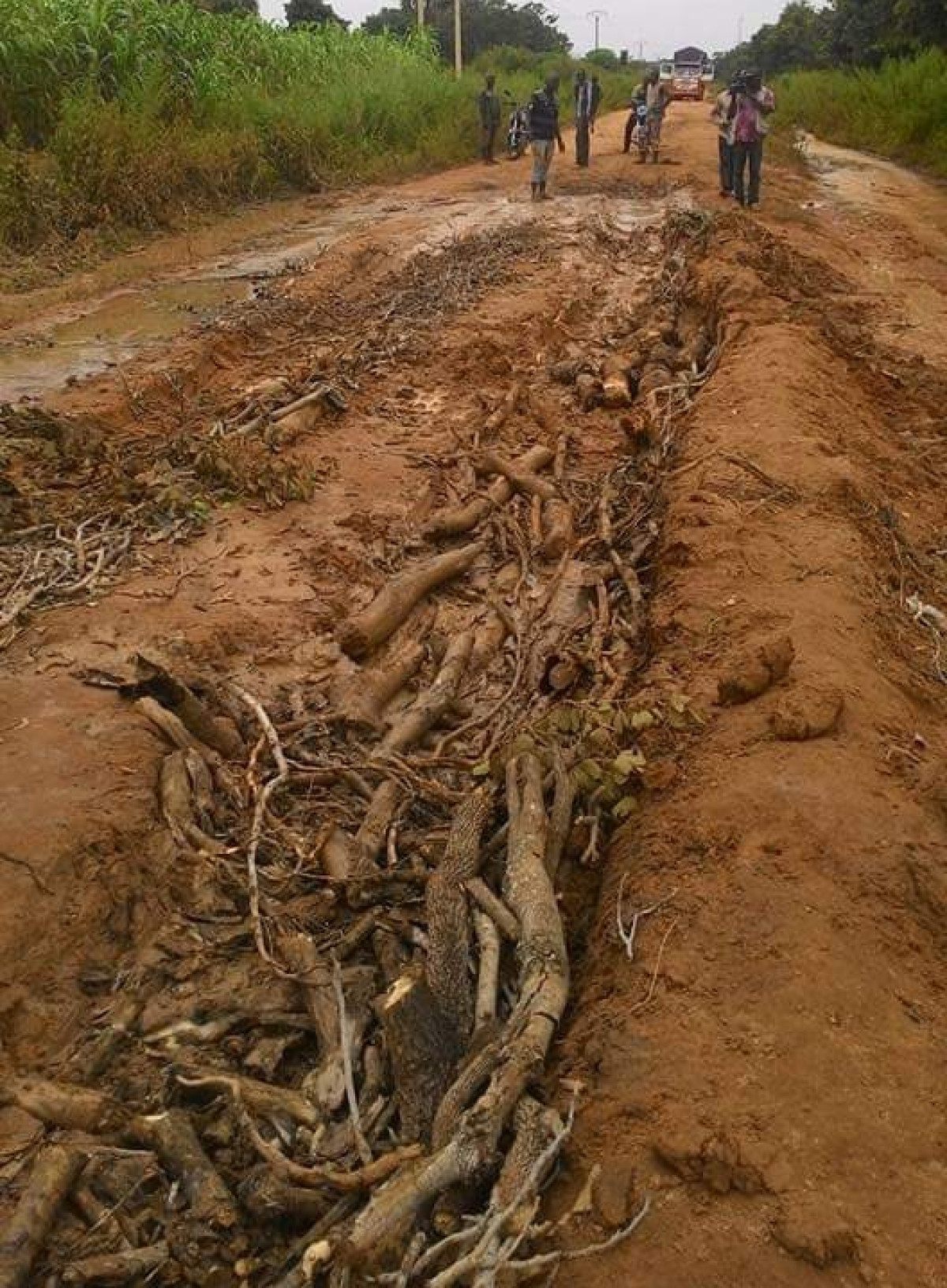 BITUMAGE DES ROUTES NIKKI-KALALÉ-SÉGBANA, KOTA-KOUANDÉ ET N’DALI-NIKKI-TCHIKANDOU : Le gouvernement donne un coup d’accélérateur au projet
