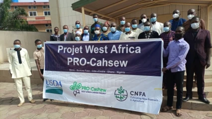 ADAPTATION DES MODULES ET SUPPORTS DE FORMATION DES ACTEURS DE LA FILIÈRE ANACARDE DU BÉNIN : Le projet Pro-Cashew actualise les ‘’Boîtes À Images’’ pour répondre aux réalités