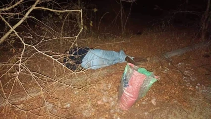 BÉNIN/ACCIDENT DE CIRCULATION À N&rsquo;DALI :  Un mort enregistré