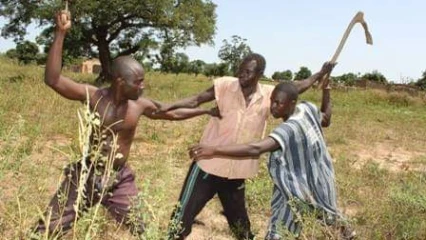 BÉNIN :  Deux blessés par balles dans un conflit entre éleveurs et agriculteurs 