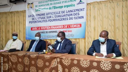 BENIN/DEVELOPPEMENT DE L&rsquo;ELEVAGE DES RUMINANTS : Le ministre Dossouhoui lance l&rsquo;étude sur l&rsquo;évaluation des potentialités fourragères