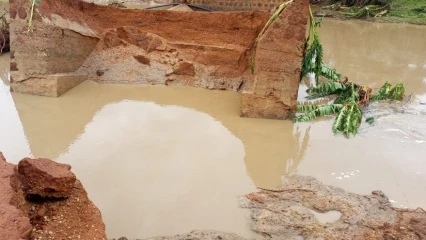 BÉNIN : Le pont reliant la route Guéné-Karimama cédé