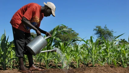 BÉNIN/MINISTÈRE DE L&rsquo;AGRICULTURE, DE L’ÉLEVAVE ET DE LA PÊCHE  :   Le gouvernement annonce le recrutement de 225 agents contractuels 