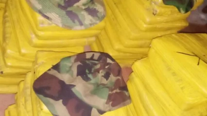 BÉNIN/TRAFIC DE DROGUE : Trois nigérians transportant 240 kg de cannabis arrêtés