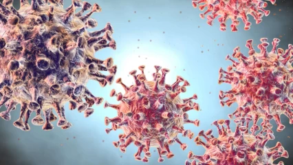 COVID-19 :  Les vaccins déjà au Bénin
