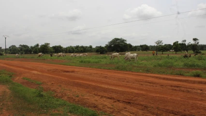 CREATION DES COULOIRS ET AIRES DE PATURAGE SUR L&rsquo;AXE GOMPAROU-FOUNOUGO-KANDEROU : Le conseil communal réalise un vieux rêve des agro-éleveurs